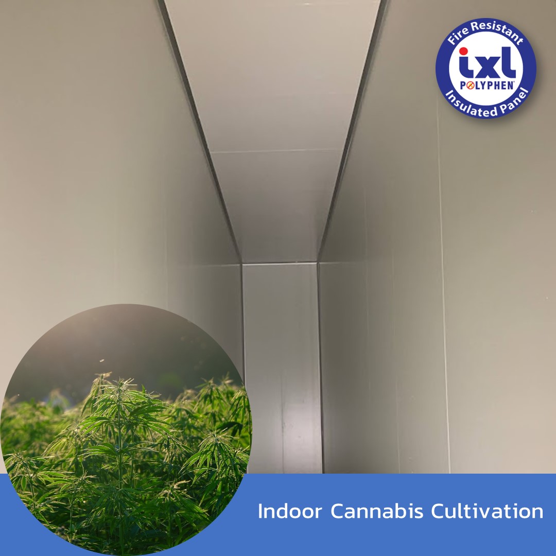 Indoor Cannabis Cultivation