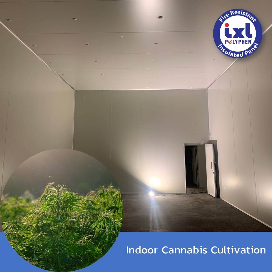 Indoor Cannabis Cultivation