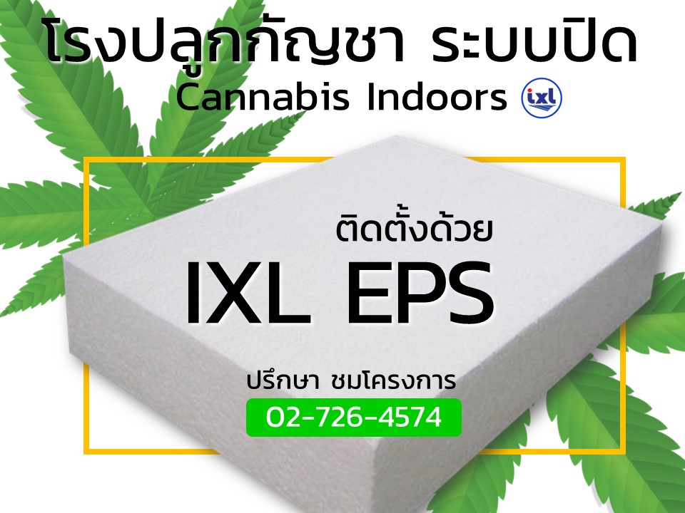 cannabis indoors