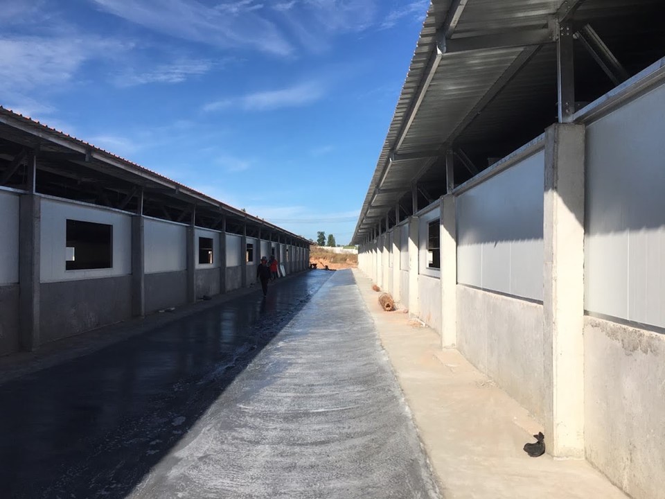 ฟาร์มหมู มหาสารคาม